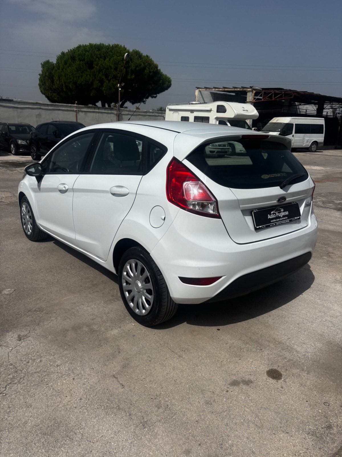 Ford Fiesta 1.4 5 porte Bz.- GPL Business N1 (3)