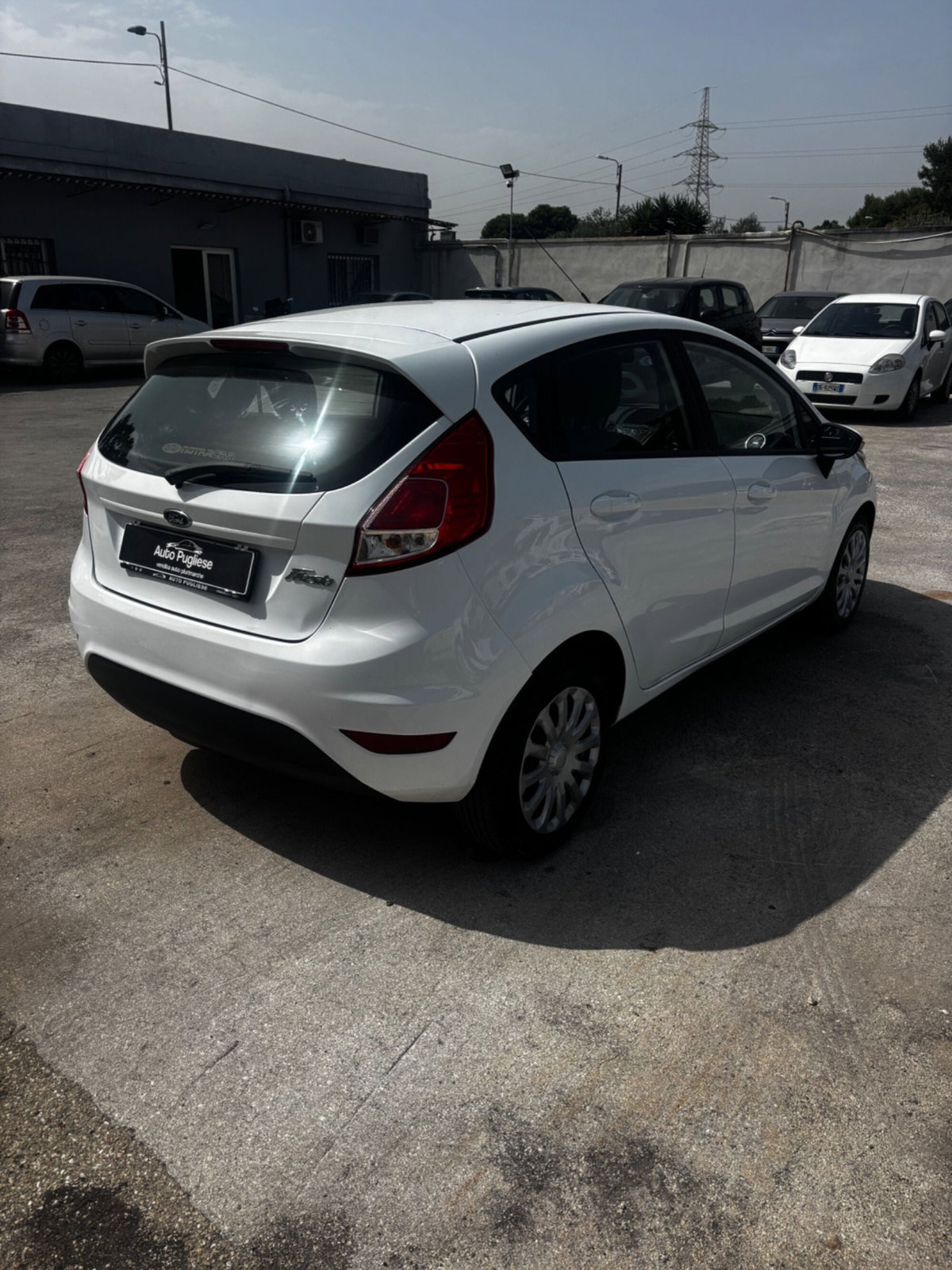 Ford Fiesta 1.4 5 porte Bz.- GPL Business N1 (4)