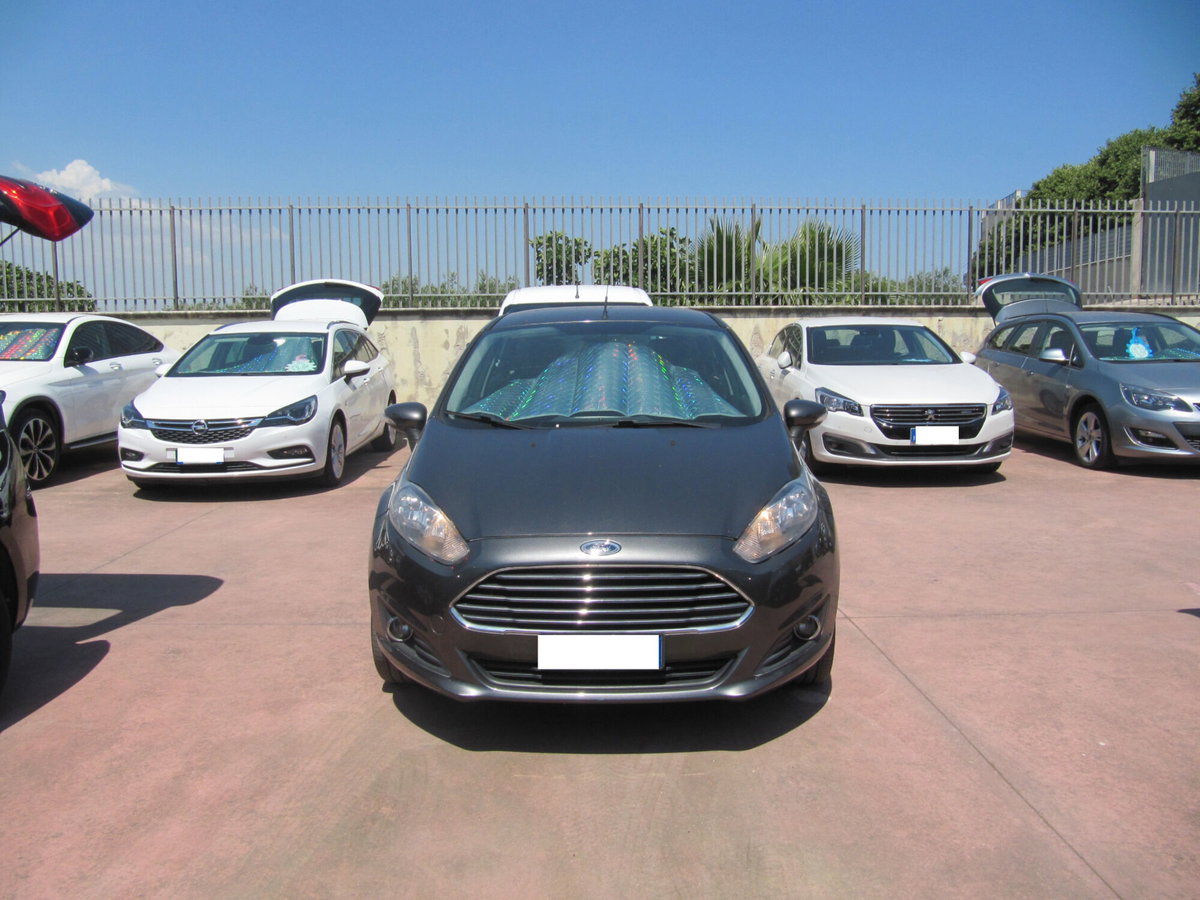 Ford Fiesta Plus 1.5 TDCi 75CV 5 porte (3)