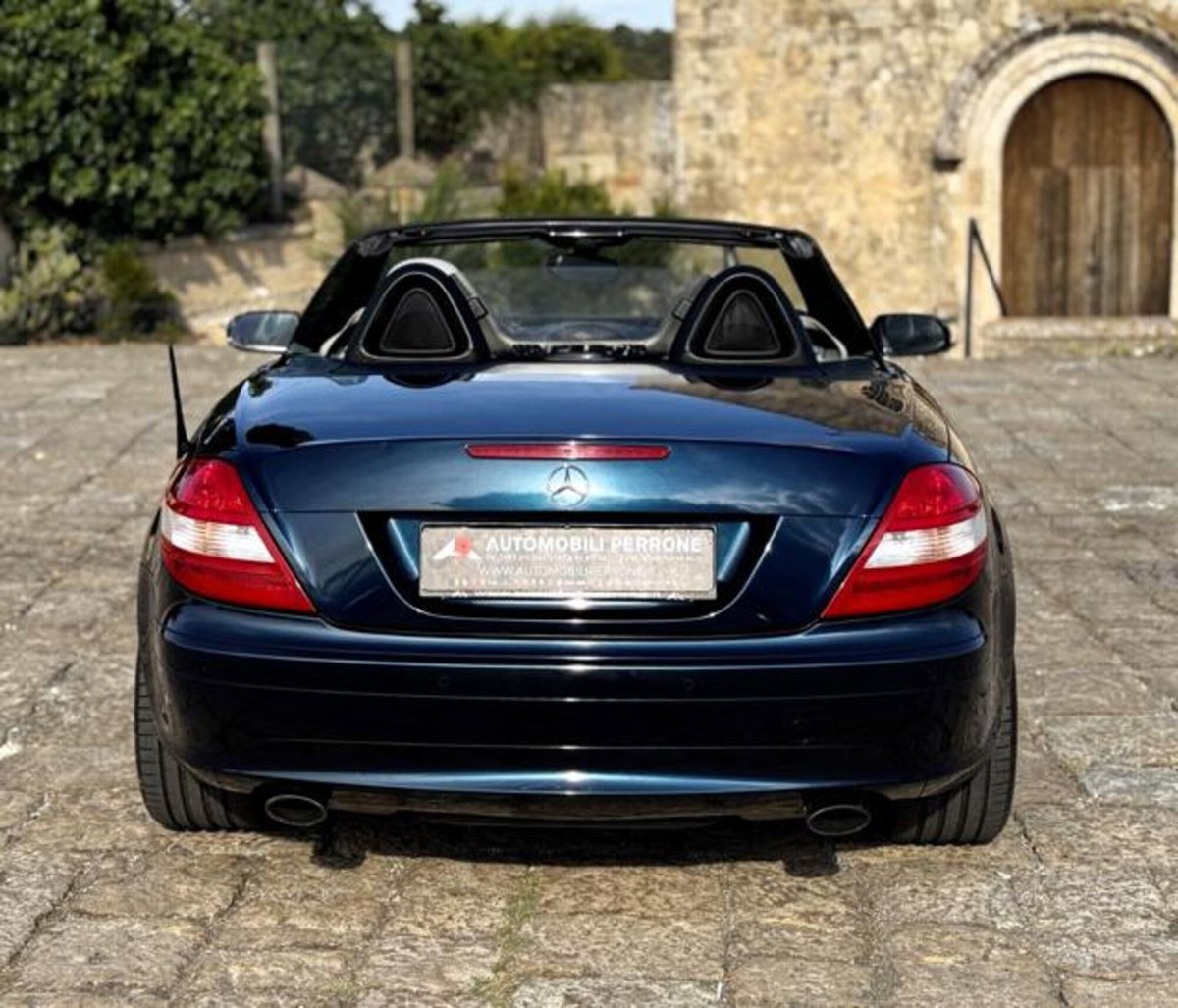 Mercedes-Benz SLK 200 Kompressor cat (12)