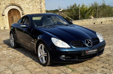 Mercedes-Benz SLK 200 Kompressor cat (16)