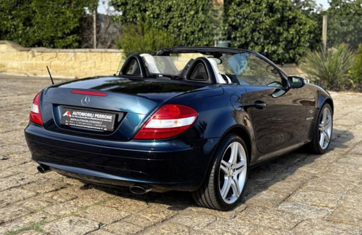 Mercedes-Benz SLK 200 Kompressor cat (19)