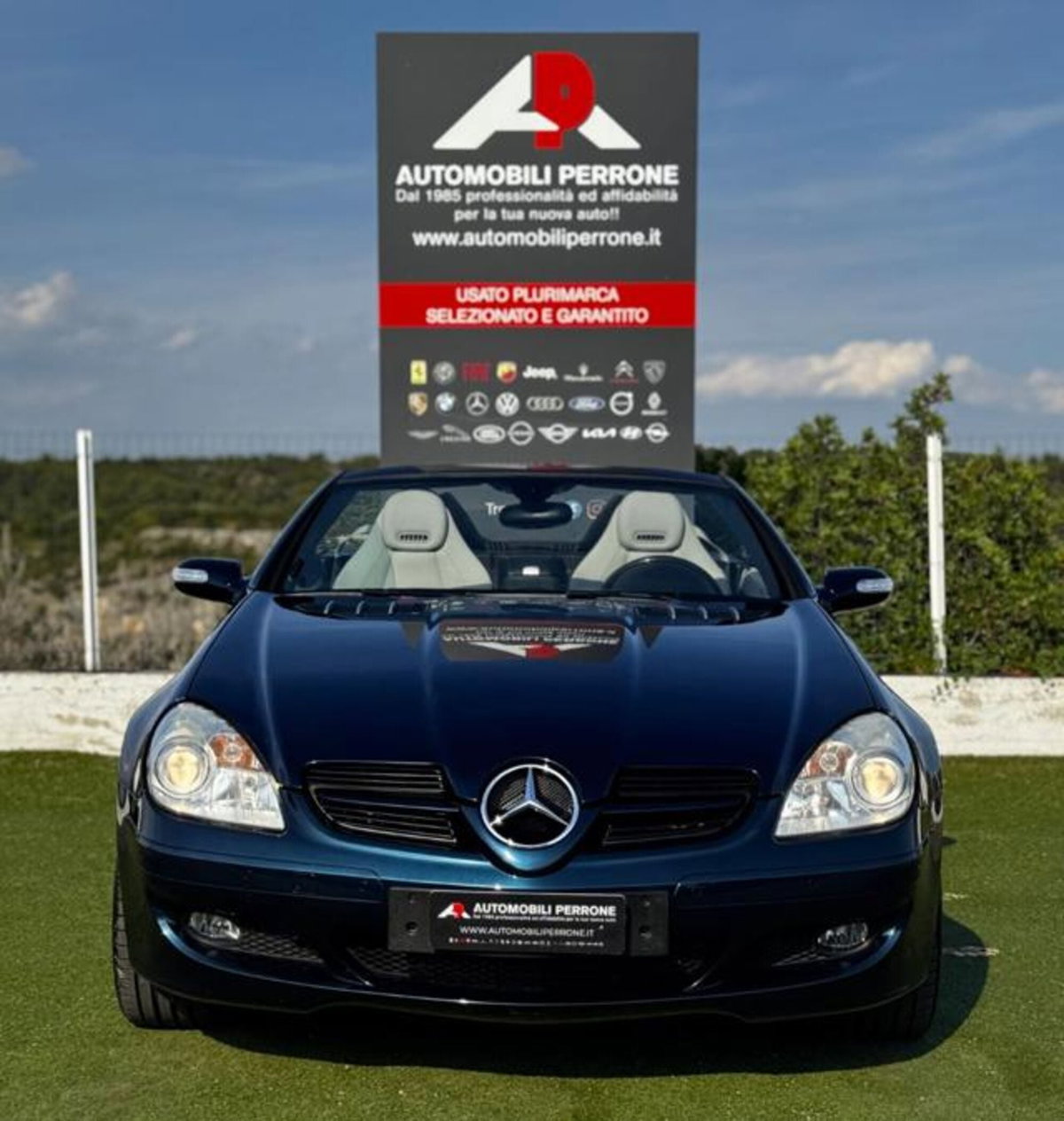 Mercedes-Benz SLK 200 Kompressor cat (2)