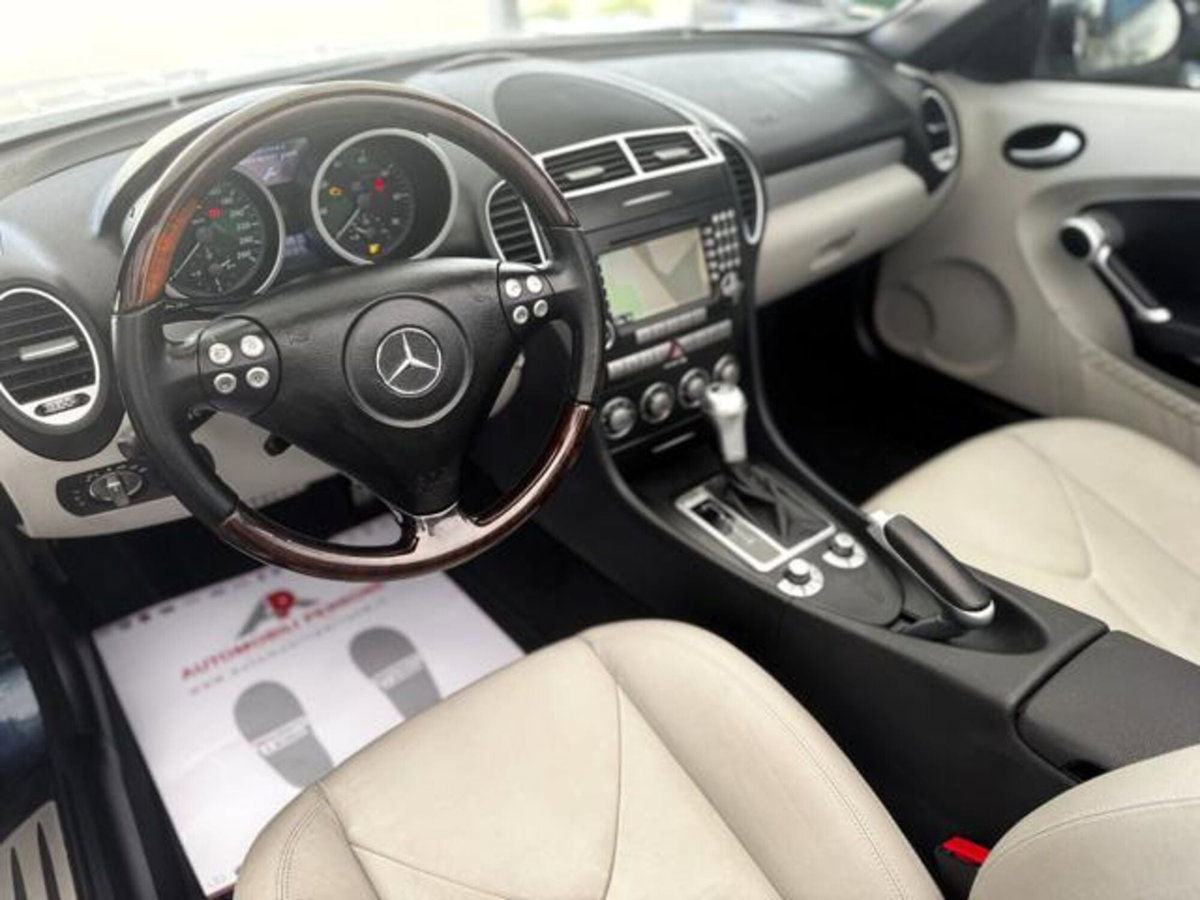 Mercedes-Benz SLK 200 Kompressor cat (6)