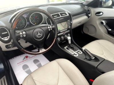 Mercedes-Benz SLK 200 Kompressor cat (6)