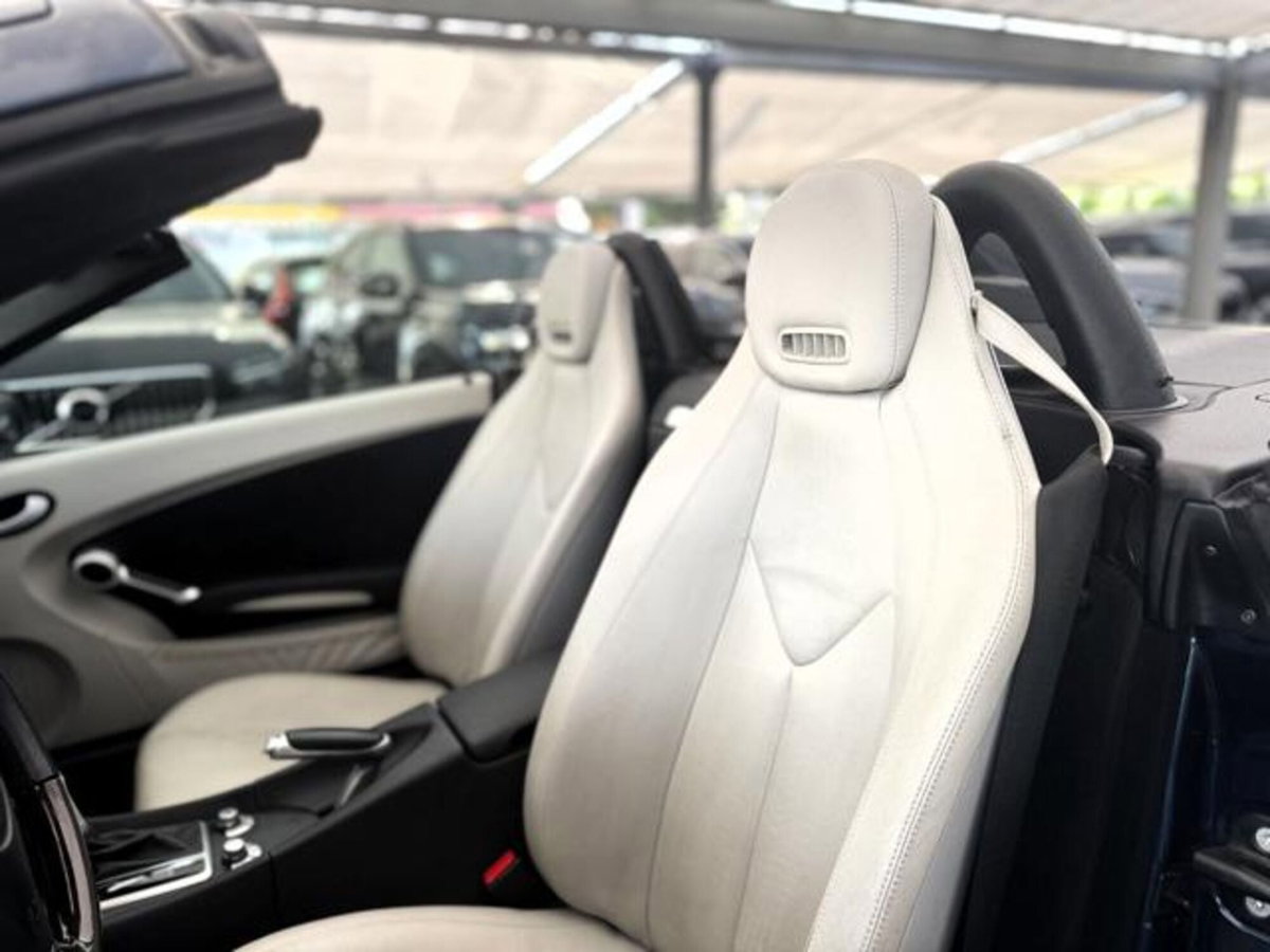 Mercedes-Benz SLK 200 Kompressor cat (8)