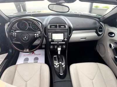 Mercedes-Benz SLK 200 Kompressor cat (9)