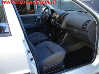 Volkswagen Polo 1.4 16V cat 5p. Comfortline (13)
