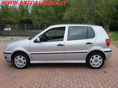 Volkswagen Polo 1.4 16V cat 5p. Comfortline (3)