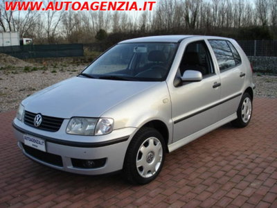 Volkswagen Polo 1.4 16V cat 5p. Comfortline (4)