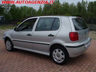 Volkswagen Polo 1.4 16V cat 5p. Comfortline (5)