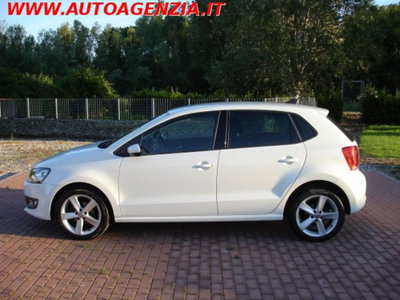 Volkswagen Polo 1.6 TDI 90CV DPF 5 porte Highline (3)