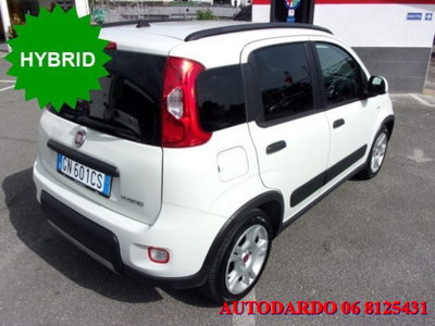 Fiat Panda 1.0 firefly hybrid s&s 70cv 5p.ti usata