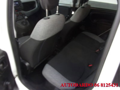 Fiat Panda 1.0 firefly hybrid s&s 70cv 5p.ti (17)