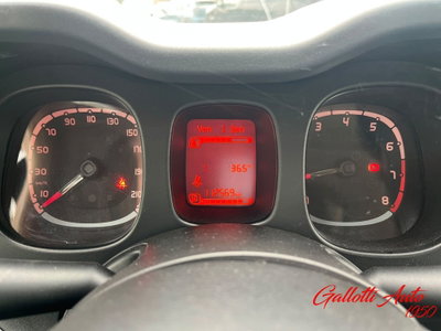 Fiat Panda Cross Cross 1.0 FireFly S&S Hybrid (12)
