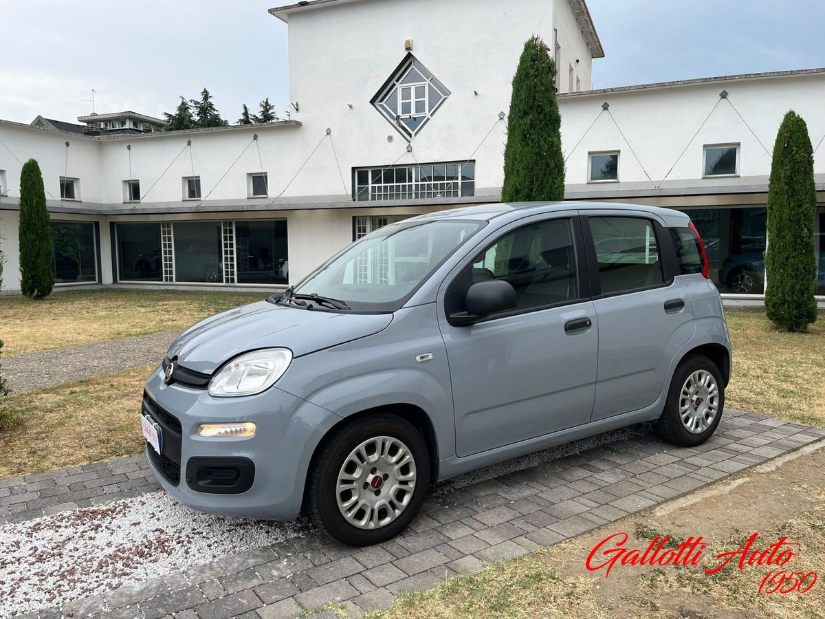 Fiat Panda Cross Cross 1.0 FireFly S&S Hybrid (19)