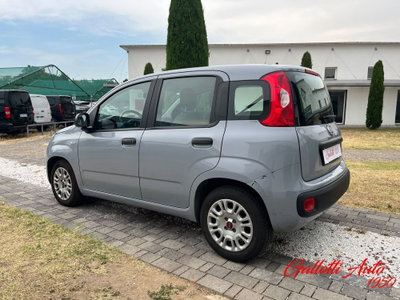 Fiat Panda Cross Cross 1.0 FireFly S&S Hybrid (2)