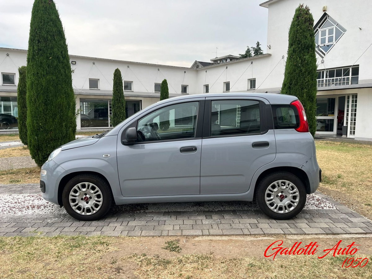 Fiat Panda Cross Cross 1.0 FireFly S&S Hybrid (3)