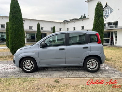 Fiat Panda Cross Cross 1.0 FireFly S&S Hybrid (3)
