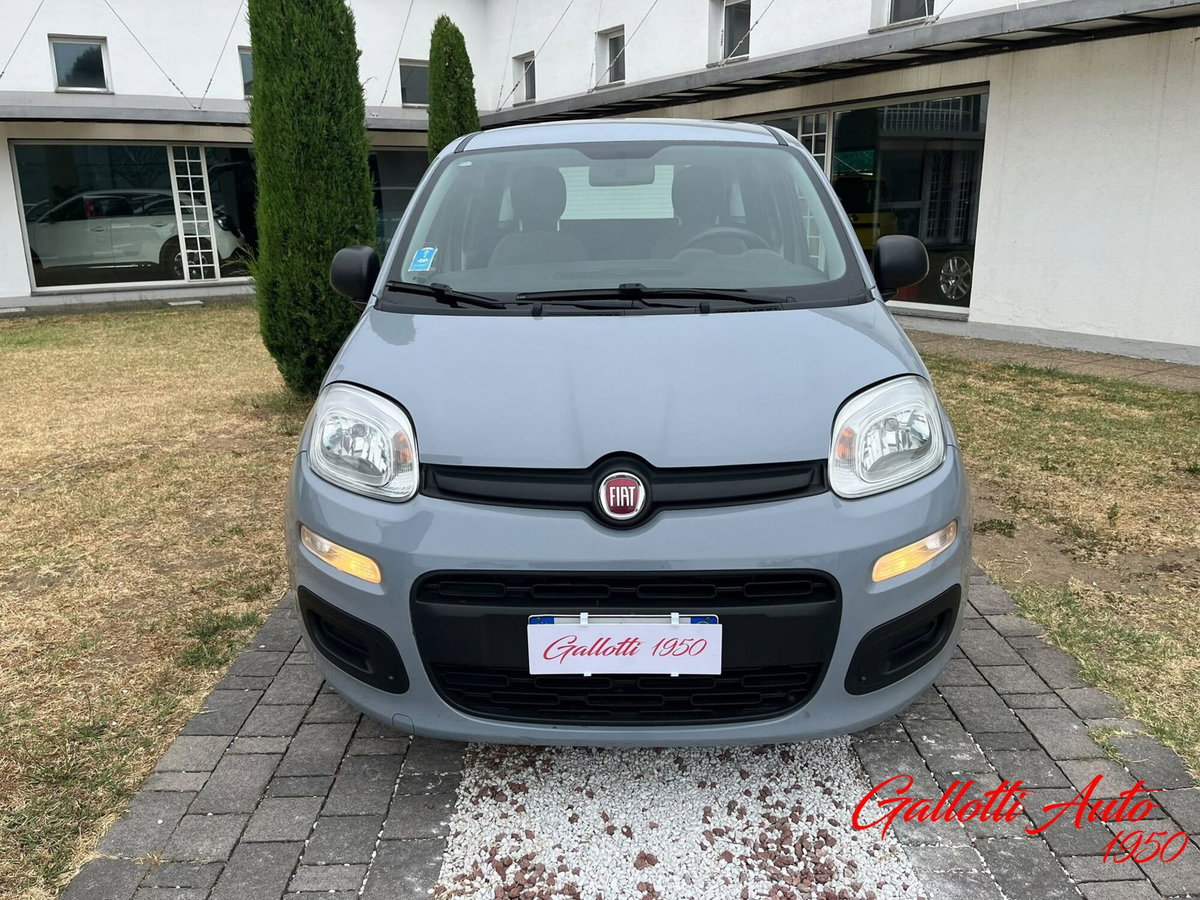 Fiat Panda Cross Cross 1.0 FireFly S&S Hybrid (4)