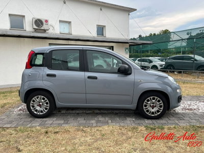 Fiat Panda Cross Cross 1.0 FireFly S&S Hybrid (6)