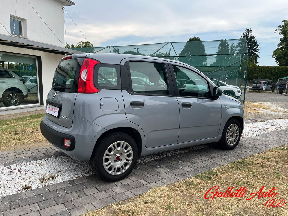 Fiat Panda Cross Cross 1.0 FireFly S&S Hybrid (7)