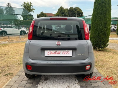 Fiat Panda Cross Cross 1.0 FireFly S&S Hybrid (8)