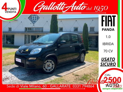 Fiat Panda Cross Cross 1.0 FireFly S&S Hybrid usata