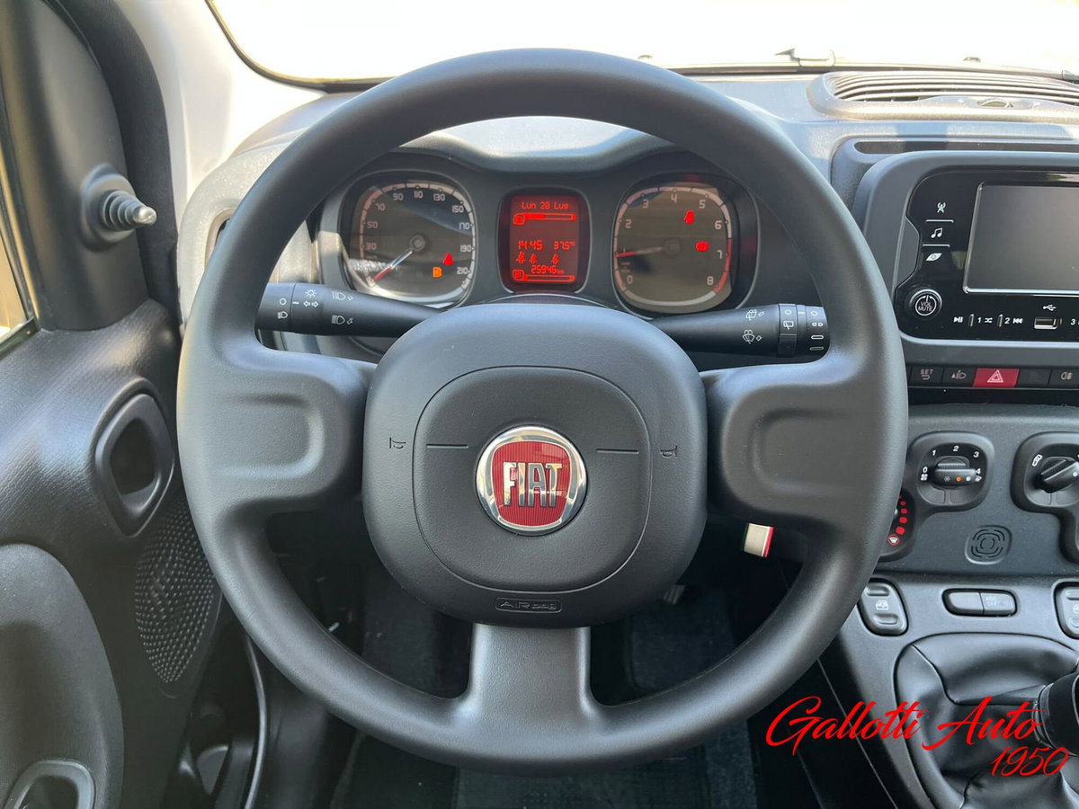 Fiat Panda Cross Cross 1.0 FireFly S&S Hybrid (11)