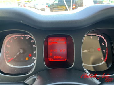 Fiat Panda Cross Cross 1.0 FireFly S&S Hybrid (12)