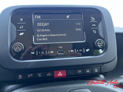 Fiat Panda Cross Cross 1.0 FireFly S&S Hybrid (17)