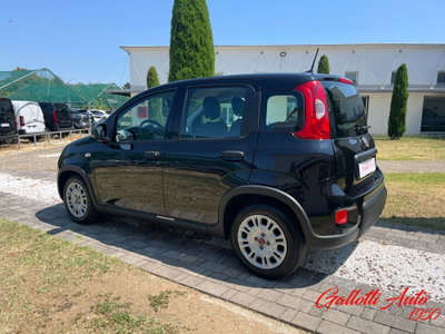Fiat Panda Cross Cross 1.0 FireFly S&S Hybrid (2)