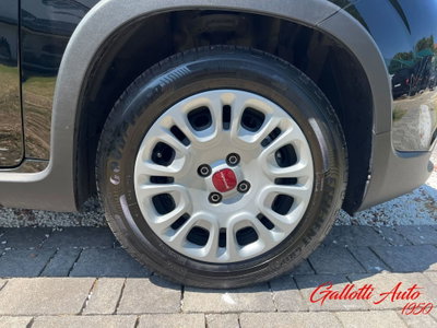 Fiat Panda Cross Cross 1.0 FireFly S&S Hybrid (20)