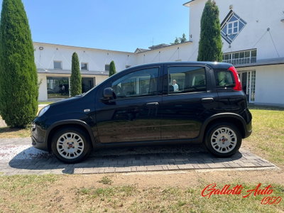 Fiat Panda Cross Cross 1.0 FireFly S&S Hybrid (3)