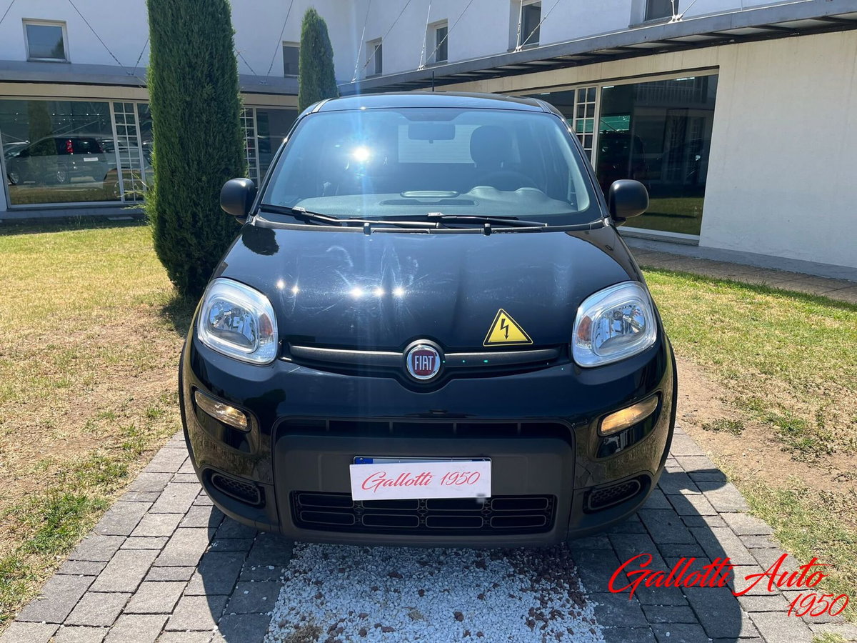 Fiat Panda Cross Cross 1.0 FireFly S&S Hybrid (4)