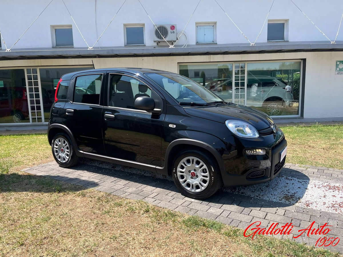 Fiat Panda Cross Cross 1.0 FireFly S&S Hybrid (5)