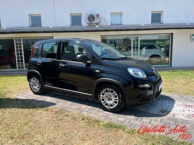 Fiat Panda Cross Cross 1.0 FireFly S&S Hybrid (5)