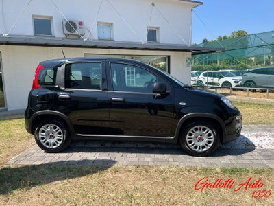 Fiat Panda Cross Cross 1.0 FireFly S&S Hybrid (6)