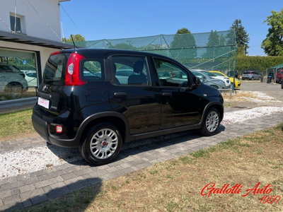 Fiat Panda Cross Cross 1.0 FireFly S&S Hybrid (7)