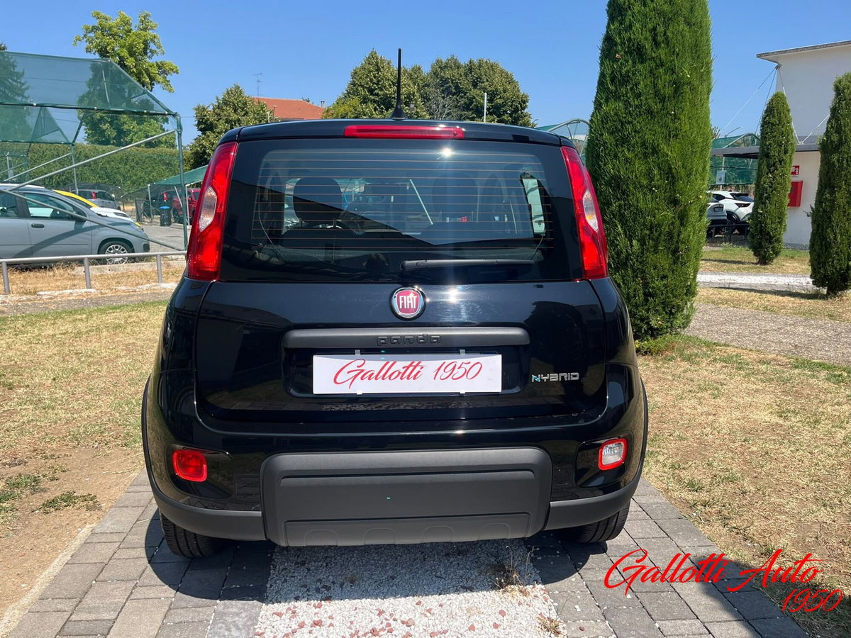 Fiat Panda Cross Cross 1.0 FireFly S&S Hybrid (8)