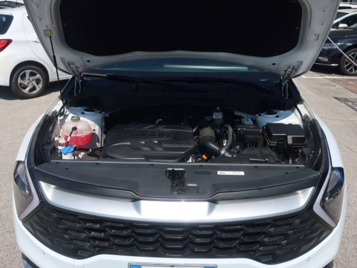 Kia Sportage 1.6 crdi mhev Style dct (14)