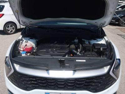 Kia Sportage 1.6 crdi mhev Style dct (14)