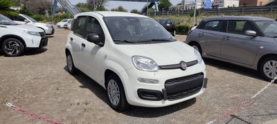 Fiat Pandina 1.0 firefly hybrid Pop s&s 65cv (3)