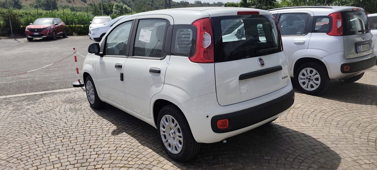 Fiat Pandina 1.0 firefly hybrid Pop s&s 65cv (4)