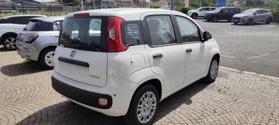 Fiat Pandina 1.0 firefly hybrid Pop s&s 65cv (5)