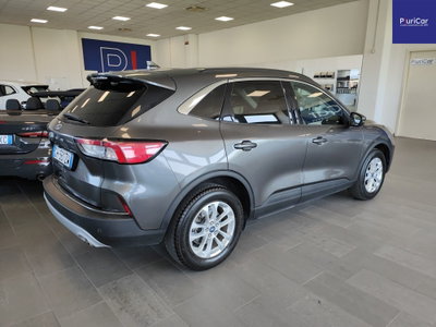 Ford Kuga 1.5 EcoBlue 120 CV 2WD Titanium (8)