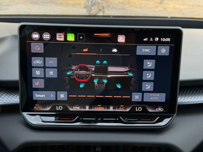 Cupra Terramar 1.5 hybrid 150cv dsg (10)