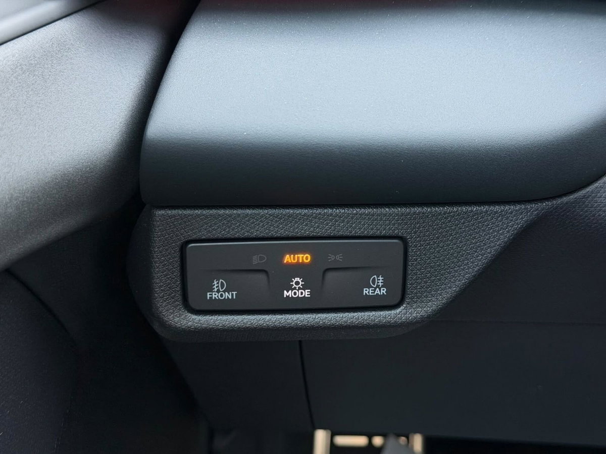 Cupra Terramar 1.5 hybrid 150cv dsg (15)