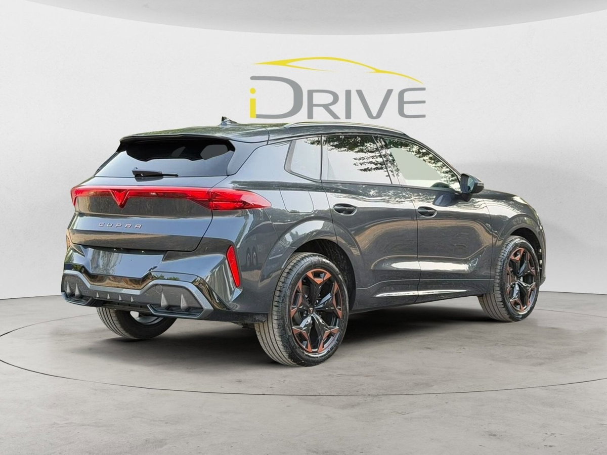Cupra Terramar 1.5 hybrid 150cv dsg (4)
