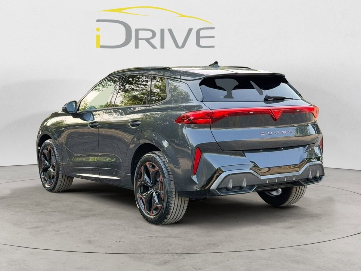 Cupra Terramar 1.5 hybrid 150cv dsg (5)